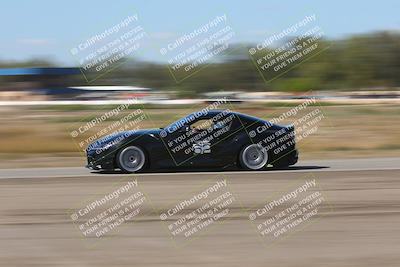 media/Oct-04-2025-OnGrid (Sat) [[44bd565ffa]]/Purple Group/Grapevine/